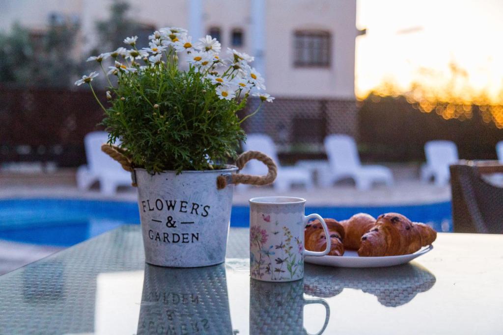 Kings Holiday Apartments